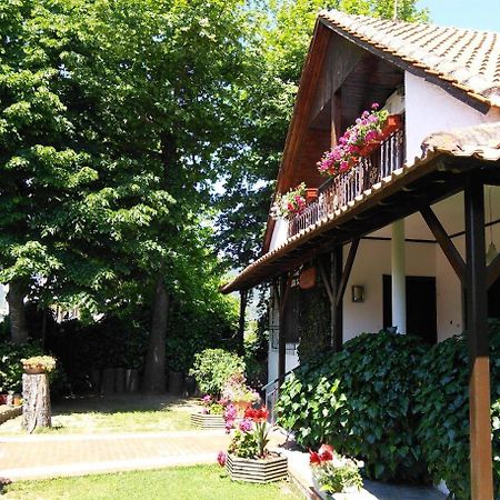 Villa Afroditi Nea Vrasna Exterior photo